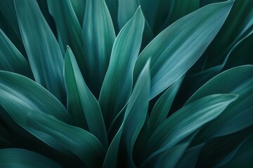 Sticker - Close-up of lush, teal-colored leaves. Perfect for nature, serenity, and growth themes.