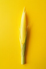 Wall Mural - Young corn cob on yellow background.