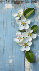 Poster - flowering spring pear or apple blossoms on vertical wooden background