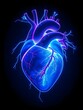 © Mason - neon color digital rendering of a human heart in a dark background