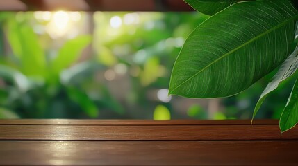 Wall Mural - serene wooden tabletop with lush green tropical foliage background