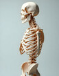 © MD - Anatomical Skeleton with Colorful Joint Pain Indications on Blue Background