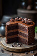 © Johanddss - Delicious Chocolate Layer Cake With Chocolate Frosting
