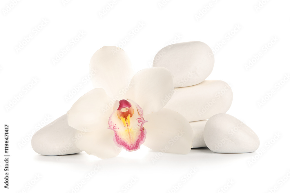 Beautiful orchid flower and spa stones on white background