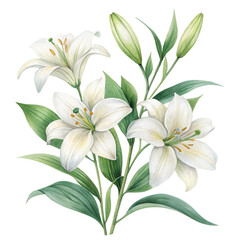 Wall Mural - A bouquet of delicate white lilies with green leaves, showcasing their elegant blooms and refined beauty.