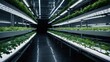 © Abdullah - LED-lit vertical farm. Concept of Sustainable Agriculture. Agritech Concept and Innovation