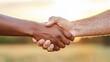 © mongkonchai - Handshake agreement between diverse individuals outdoor setting inspirational moment warm lighting unity concept
