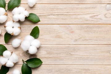 Wall Mural - autumn floral flat lay background composition. dried white fluffy cotton flower branchwith green lea