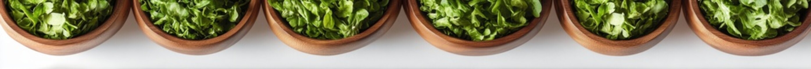 Wall Mural - Five bowls of fresh chopped herbs on white background.