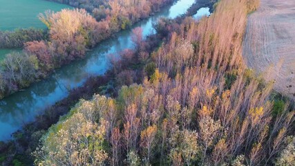 Wall Mural - drone view of small danube river