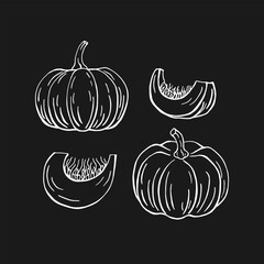 Wall Mural - Set of pumpkin. Hand drawn vector illustration in outline style.