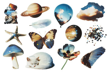 Wall Mural - png aesthetic photography film glitter element set on transparent background
