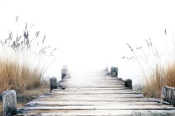 Poster - Serene wooden pathway leading towards a misty horizon with tall grass flanking the sides. Generative AI