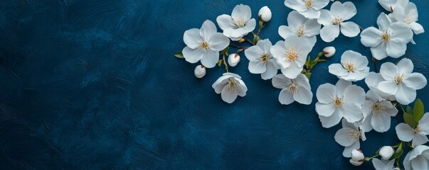 Beautiful white flowers arranged artistically on a dark blue background for decoration