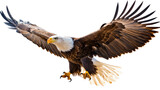 Majestic bald eagle soaring through sky with outstretched wings, showcasing its powerful presence and striking features. symbol of freedom and strength in nature