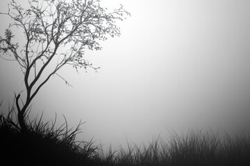 Leinwandbilder - Atmospheric landscape featuring a solitary tree in fog with ample space for creative text and design elements. Generative AI