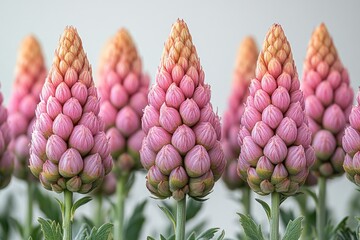 Canvas Print - A close-up shot of a bunch of pink flowers, ideal for use in floral designs or as a decorative element