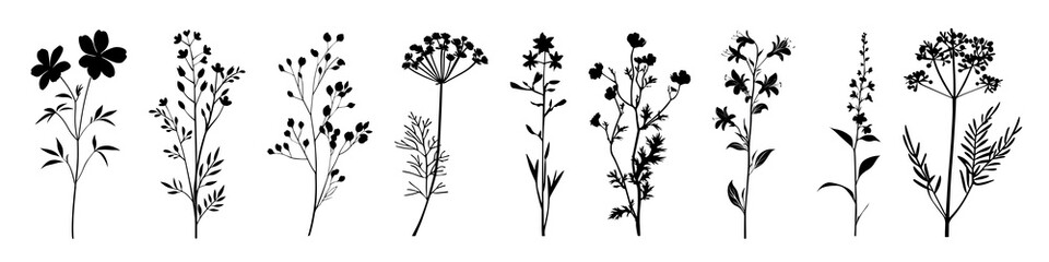 Wall Mural - Silhouettes of various wildflowers, PNG element set on transparent background