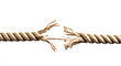 © Svetlana Kolpakova - Frayed Rope on White Background Symbolizing Tension and Fragility