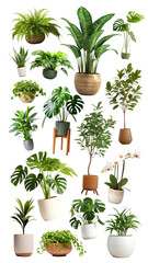 Wall Mural - Indoor plant png element set, transparent background