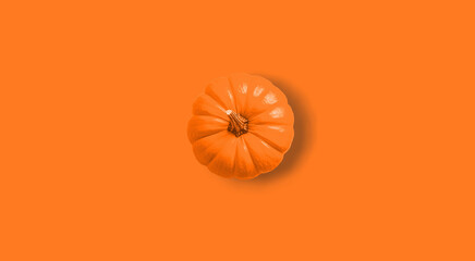 a vibrant orange pumpkin in monochromatic orange design, showcasing a bold and minimal aesthetic