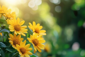 Fototapete - Bright yellow flowers blooming in a lush green garden during early morning light. Generative AI