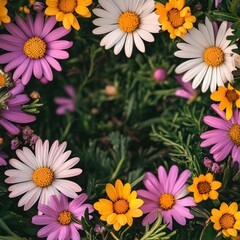 Poster - Colorful flower arrangement in a garden setting providing ample space for text or design elements. Generative AI