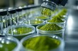 © Graph Squad - Automated quality control of green powder and liquid samples in a laboratory setting.