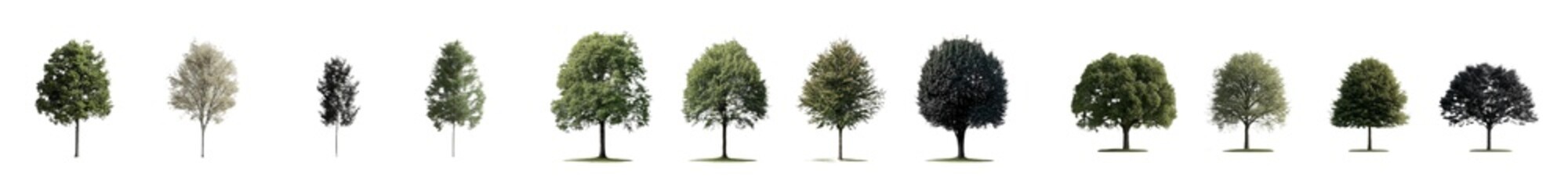 a collection of png images where a tree is set against a transparent background