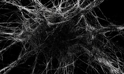 Abstract white web network on black background for Halloween or dark design
