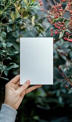 Leinwandbilder - Hand holding empty paper against lush green foliage and red berries, ideal for text placement and design mock up. Generative AI