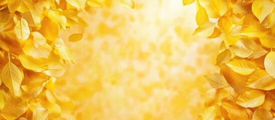 Wall Mural - golden yellow floral background with soft light and copy space for text placement
