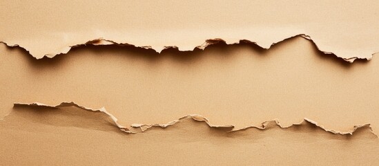 Wall Mural - textured background with ripped brown paper layers displaying a natural edge and visible shadows cop