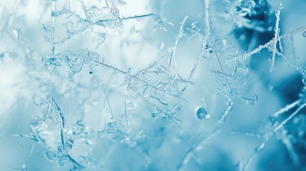 Wall Mural - close-up of intricate snowflakes on a blue background with copy space for text insertion