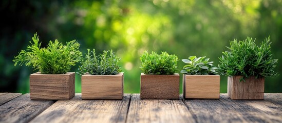 Poster - Wooden planters with various herbs and green plants on a wooden table against a blurred green background Copy Space