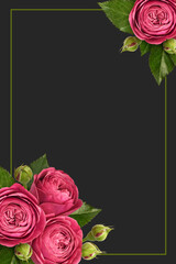 Wall Mural - red rose flowers, green leaves and buds in a corner floral arrangements with frame on dark backgroun