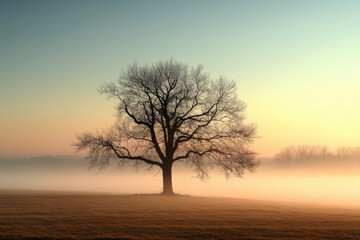 Poster - Misty sunrise landscape with a solitary tree in an open field with ample space for text overlay. Generative AI