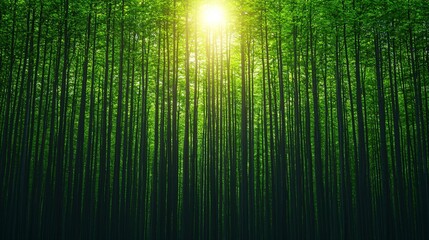 Sticker - Sunbeams filtering through dense green forest.