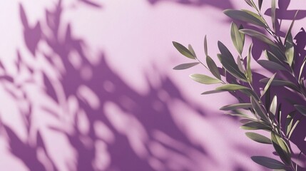 Wall Mural - Olive branch with shadow on pink background.