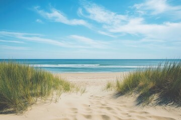 Fototapete - Serene beach pathway leading to tranquil sea and clear skies under gentle sunlight. Generative AI