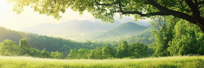 Poster - Tranquil morning in a lush valley with mountains under a golden sunrise, ideal for creating personalized content. Generative AI