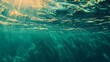 © arinda_BJ - Underwater sunlight beams, ocean surface, textured water, background, travel