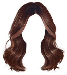 Wall Mural - PNG Brown hair style adult white background hairstyle.