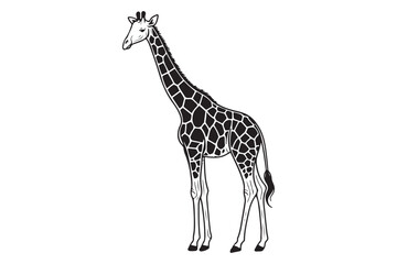  Giraffe Line drawing
