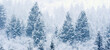 © Lane Erickson - Winter Scene with Pine Tree Forest on Mountainside Snow Texture Blizzard Snow Storm