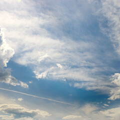 Wall Mural - cirrus clouds on a sunny day against the blue sky.