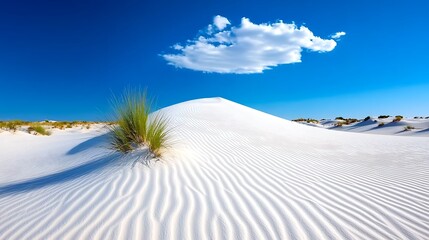 Wall Mural - white sand dunes under a blue sky