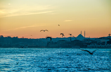 Wall Mural - flying seagulls on the bosphorus and the historical silhouette of Istanbul  at sunset