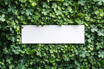 Wall Mural - Blank white rectangle card on lush green clover leaf background.