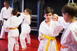 © JackF - Young boys training in pair to use karate technique during class
